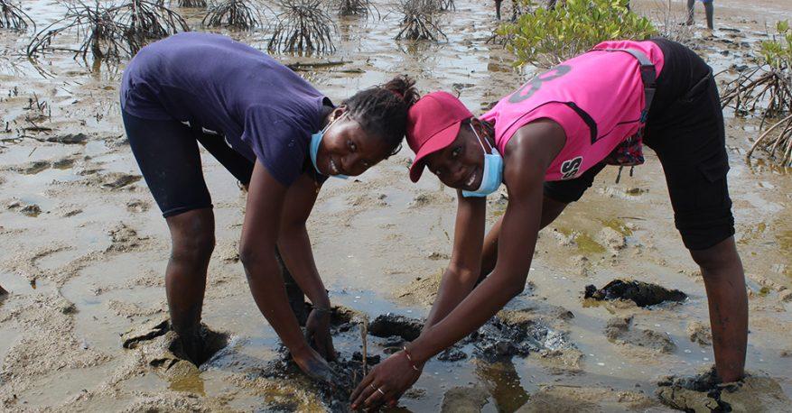 Community resilience building and sustainability training